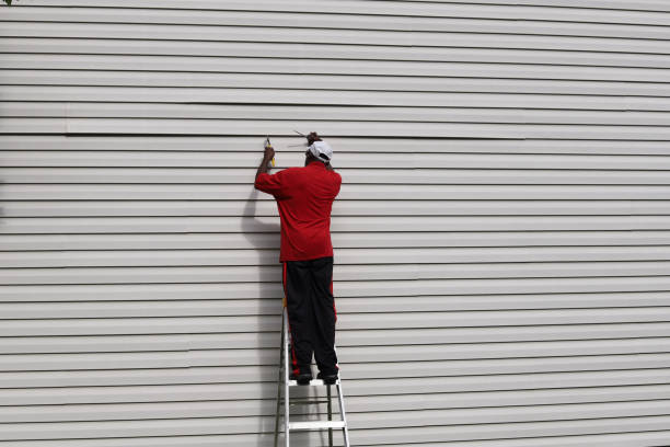 Best Insulated Siding Installation  in Elk Point, SD